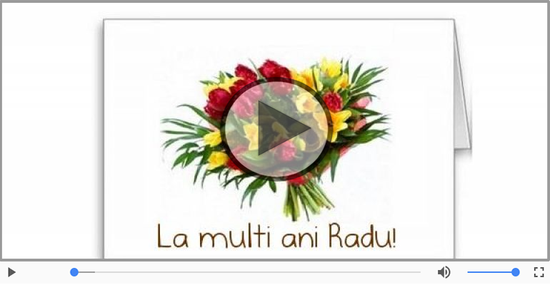 Felicitari muzicale de zi de nastere - Cantec de la multi ani pentru Radu!